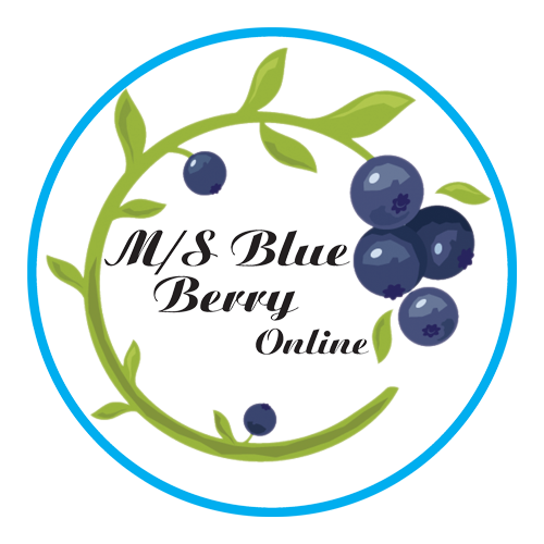 BlueBerry Online BD Logo